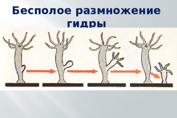 Кракен ссылка pw