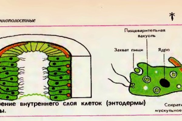 Кракен даркнет официальный