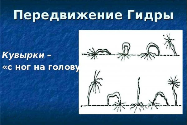 Кракен маркетплейс ассортимент