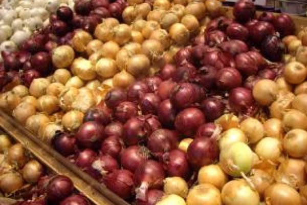 Kraken onion сайта