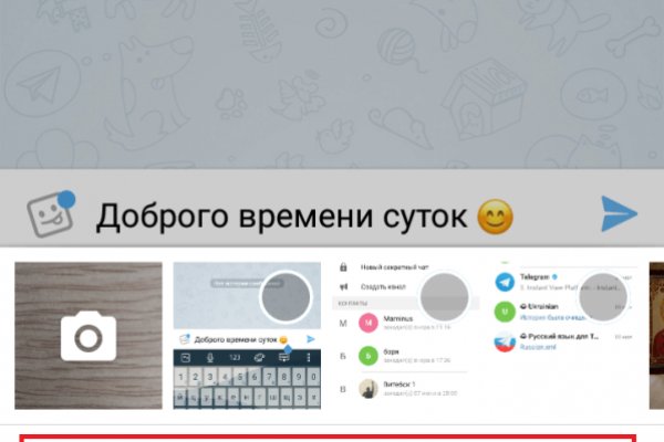 Гидра в даркнете
