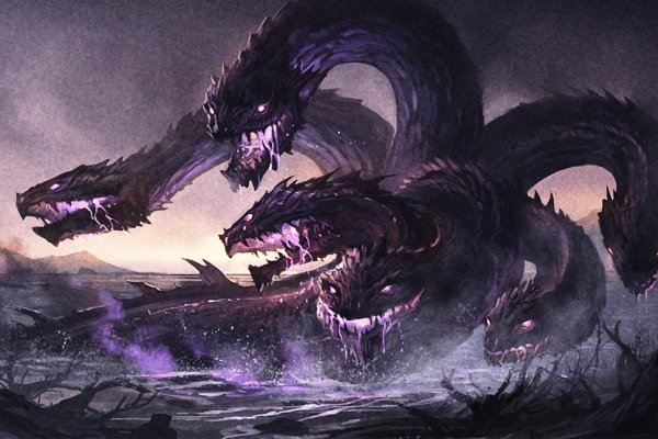 Kraken 24 top