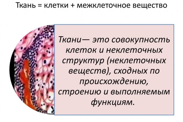 Кракен тор krakendark krakendark link