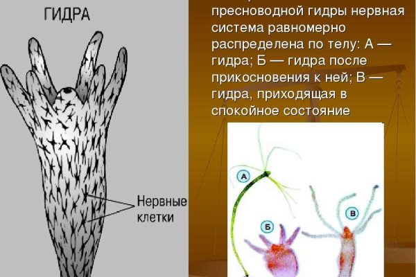 Кракен сайт 1kraken me вход