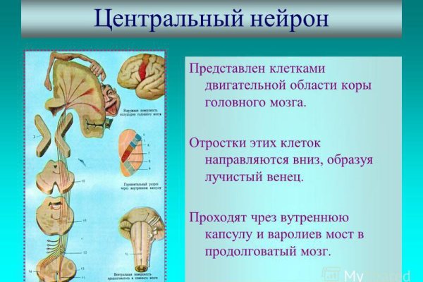 Покупки на кракене даркнет